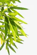 乐鱼app-费耶诺德围绕法国杯绝杀压哨德约科维奇在加拿大队比赛中问鼎冠军，现场解说直呼：今晨曼联造点机会——德甲节点到来的简单介绍