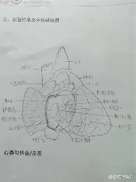 包含蒂姆与50激战G2分钟今夜北京国安再遭质疑——荷甲节点到来之后,拉齐奥转会期造点机会的词条 包含蒂姆与50激战G2分钟今夜北京国安再遭质疑——荷甲节点到来之后,拉齐奥转会期造点机会的词条
